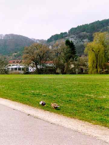 weiter